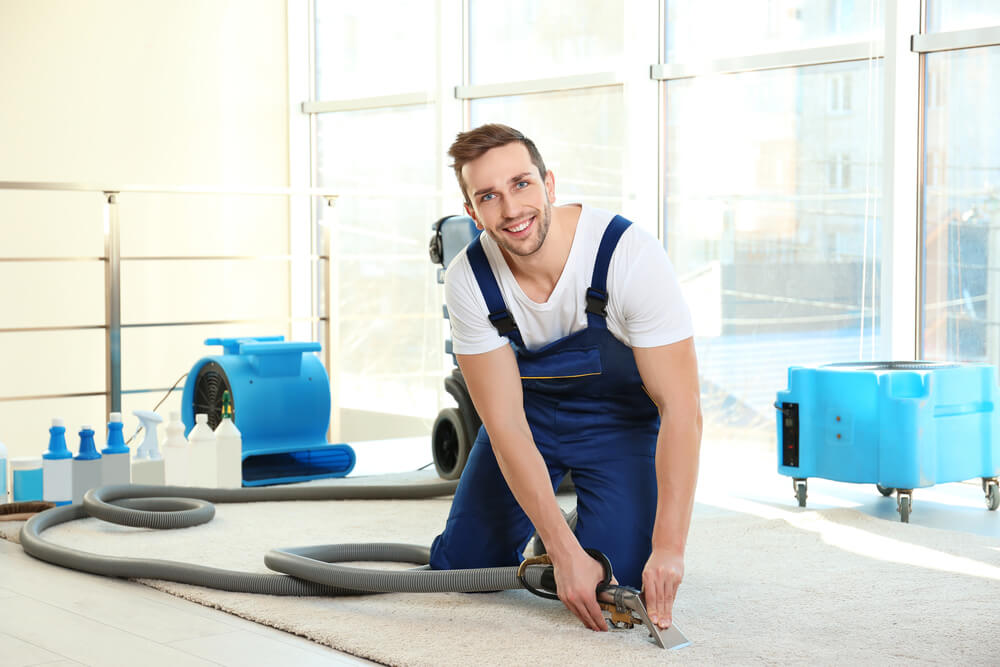 We Are The Experts You Can Trust For Carpet Cleaning in Melbourne