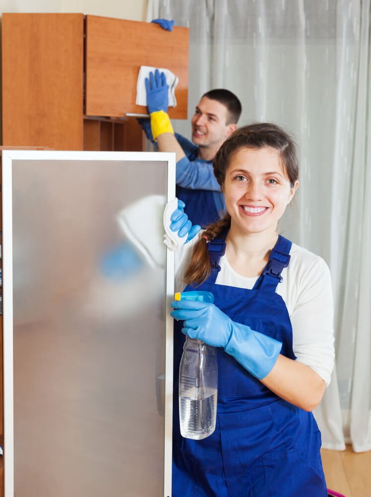 Regular Domestic Cleaning Services